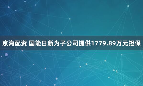 京海配资 国能日新为子公司提供1779.89万元担保